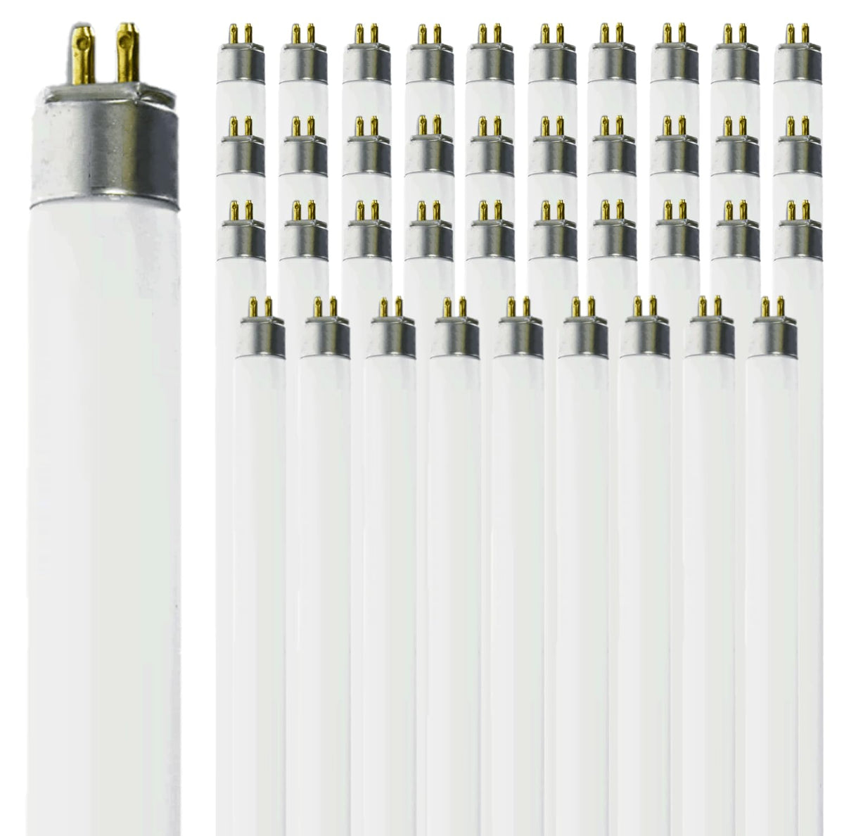 T5 Fluorescent Bulb 24 Inch 5000K Bright White 14W Pack of 40 U31647