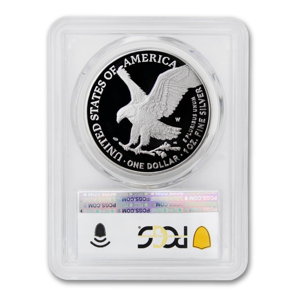 1 oz American Silver Eagle Proof S101
