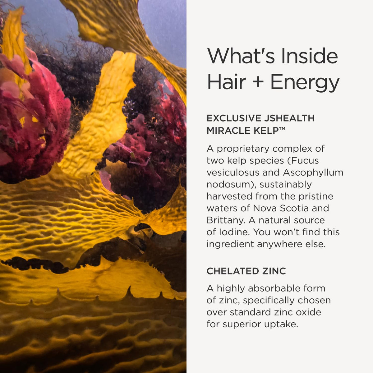 Hair Growth Vitamins with Kelp Iodine and Zinc 30 Capsules B643185