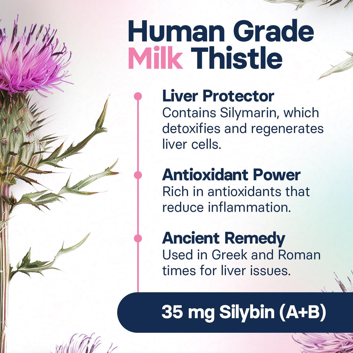 Milk Thistle Liver Health Supplement 30 Tablets G685