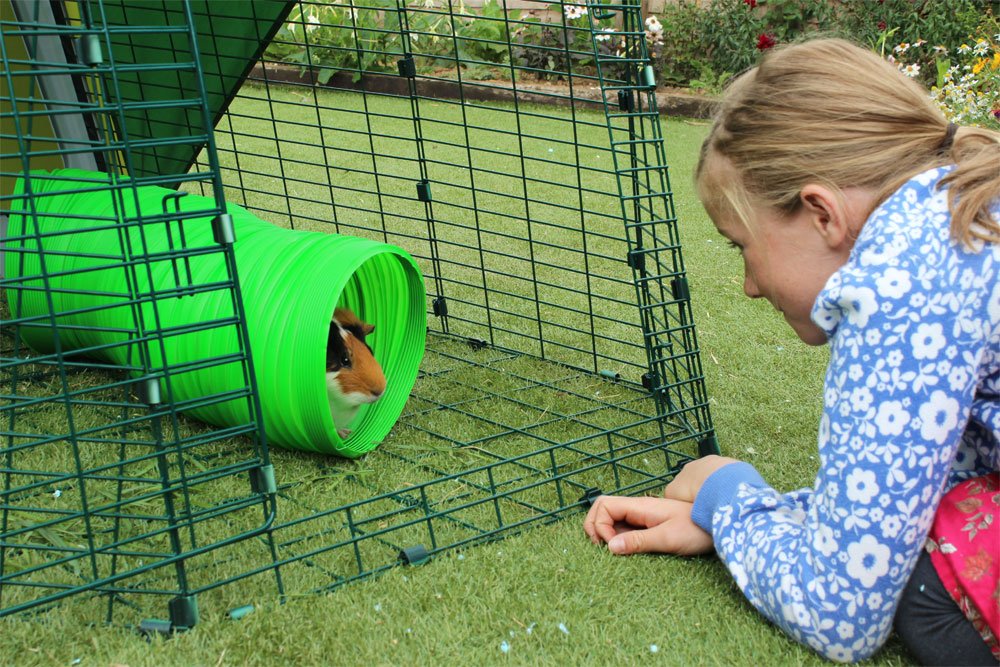 Green Flexible Bunny Warren Fun Tunnel C30905