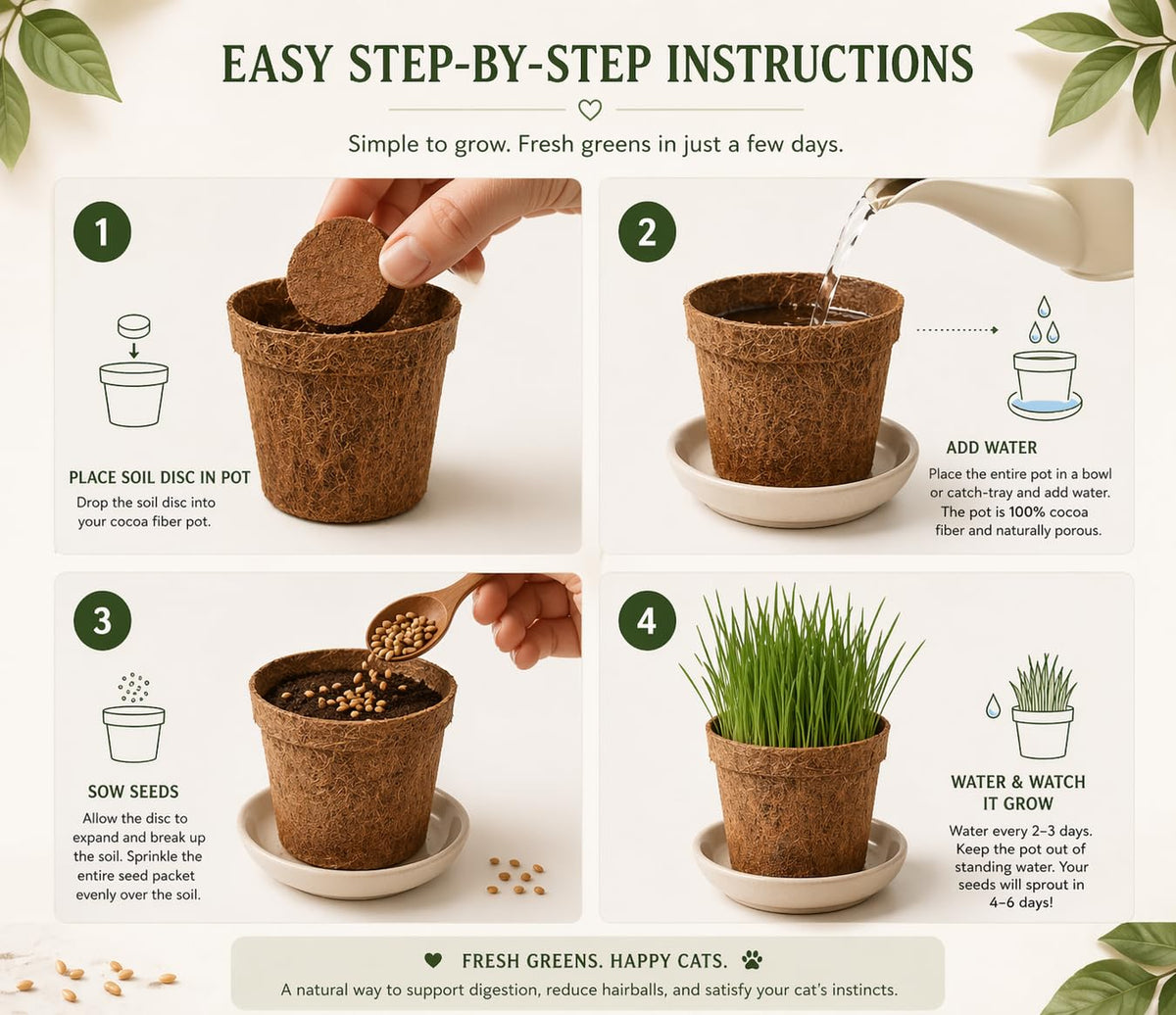 Organic Cat Grass Growing Kit 3 Pack with Soil Discs Coco Fiber Pots and Seeds Z11893