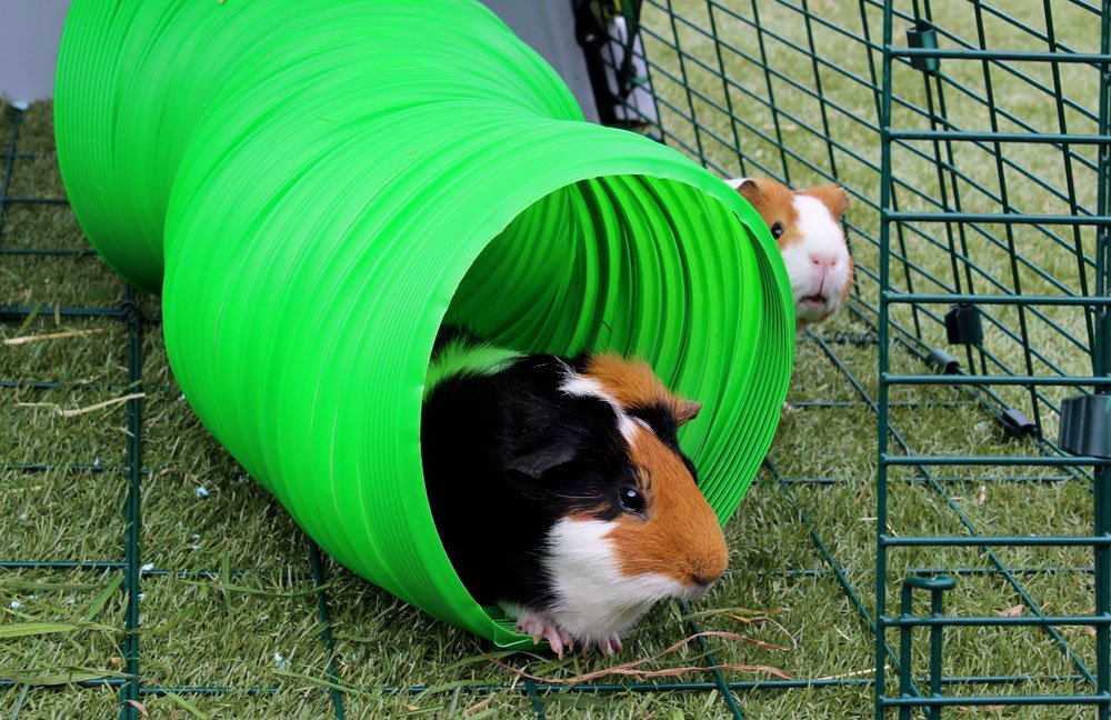 Green Flexible Bunny Warren Fun Tunnel C30905