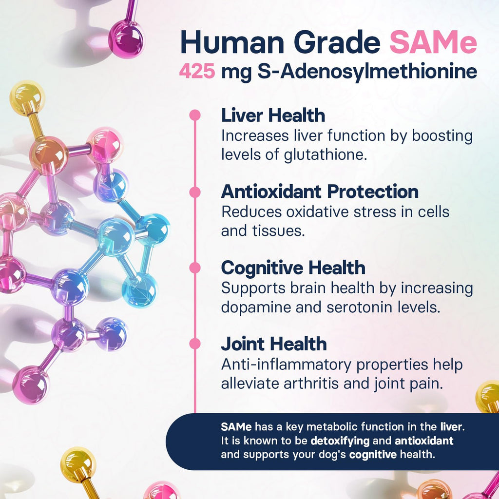 Milk Thistle Liver Health Supplement 30 Tablets G685