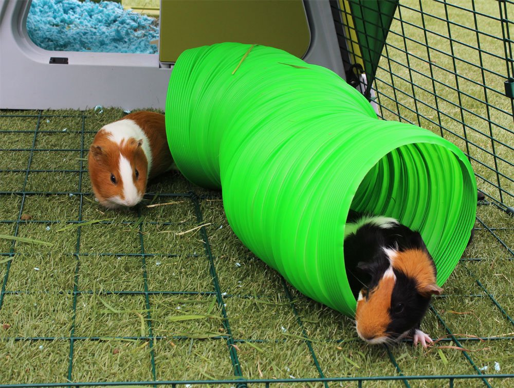 Green Flexible Bunny Warren Fun Tunnel C30905