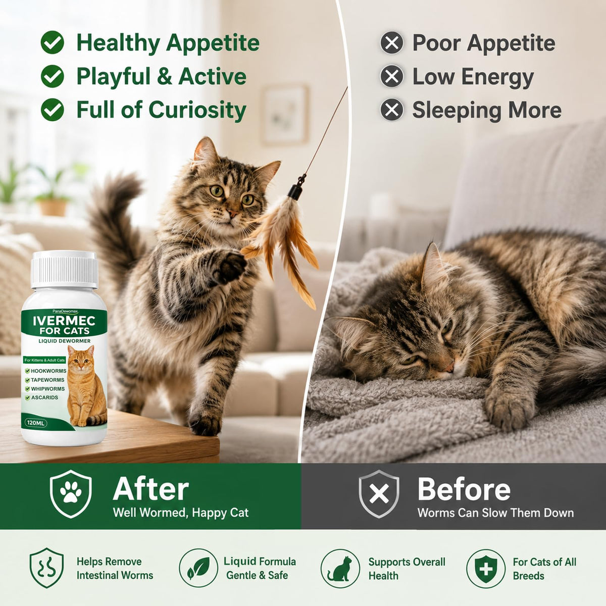 Broad Spectrum Cat Dewormer for Tapeworms, Roundworms and Hookworms J30192