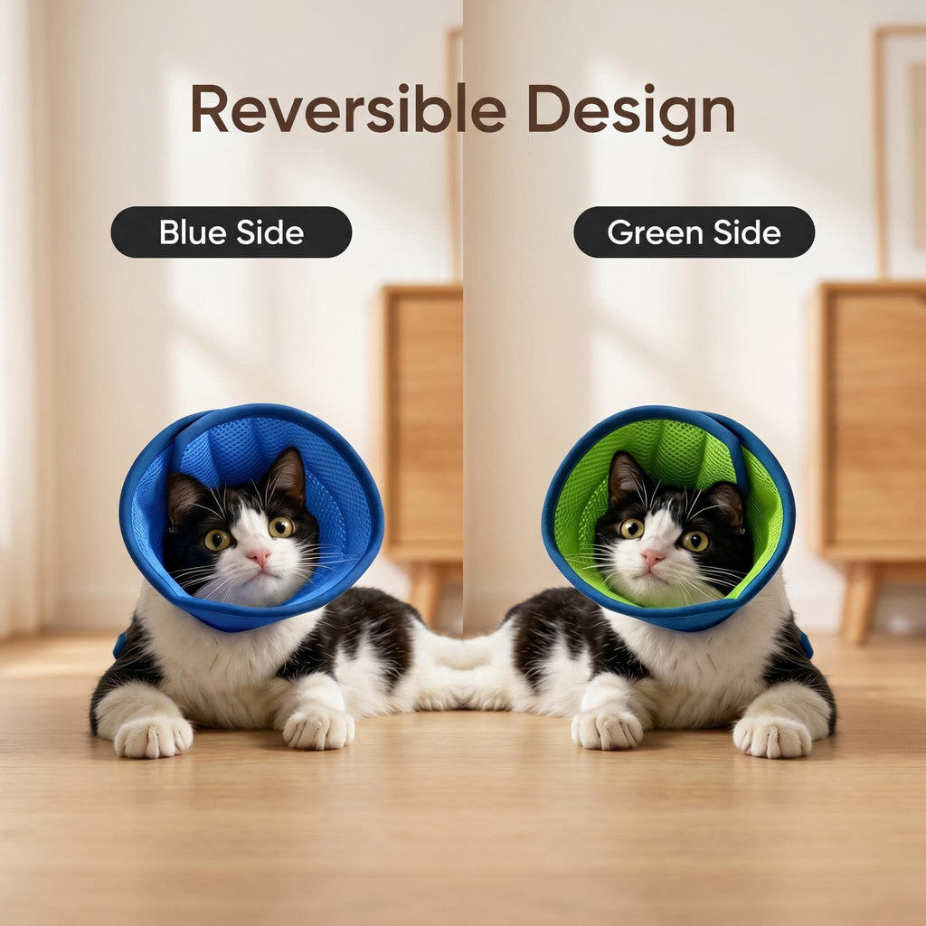 Soft Cat Cone Collar F581778