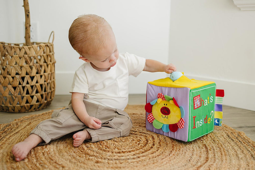 Baby Object Permanence Soft Plush Toy O536
