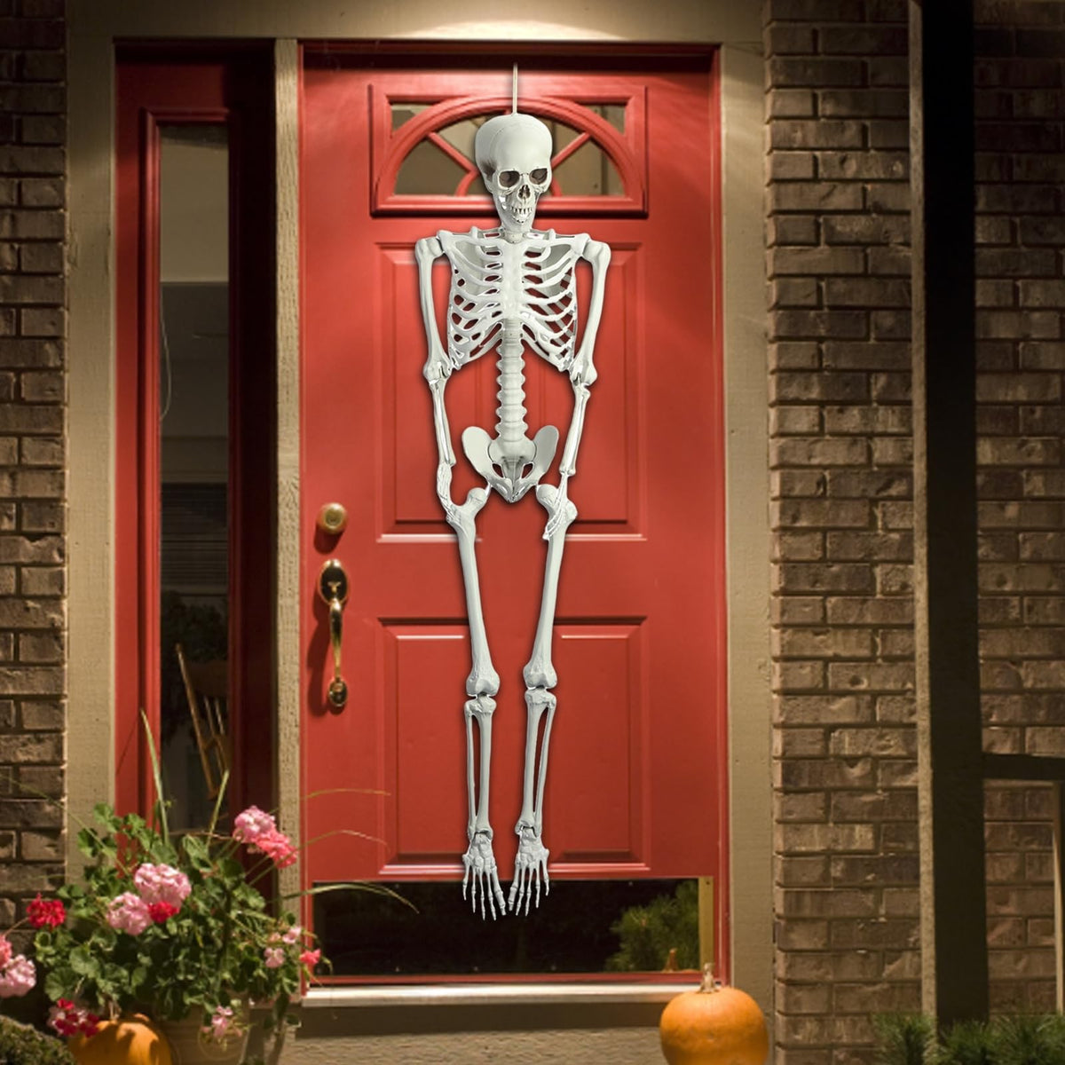 5.4Ft Posable Plastic Skeleton with Movable Joints L2669