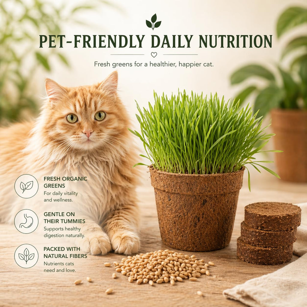 Organic Cat Grass Growing Kit 3 Pack with Soil Discs Coco Fiber Pots and Seeds Z11893