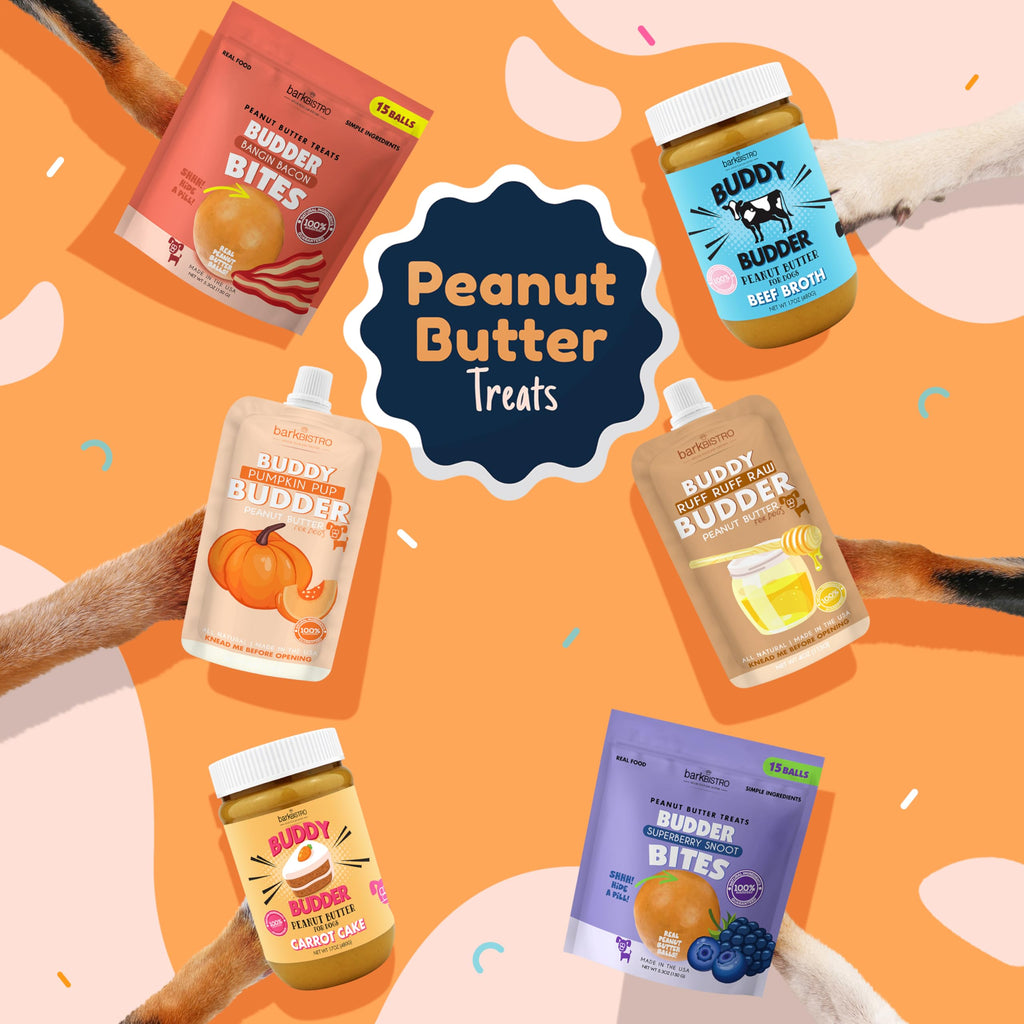 Natural Peanut Butter Dog Treats Set of 2 with Lickmat H925146