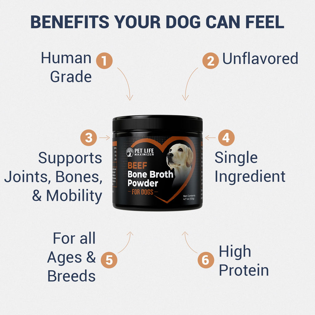Beef Bone Broth for Dogs Y5833