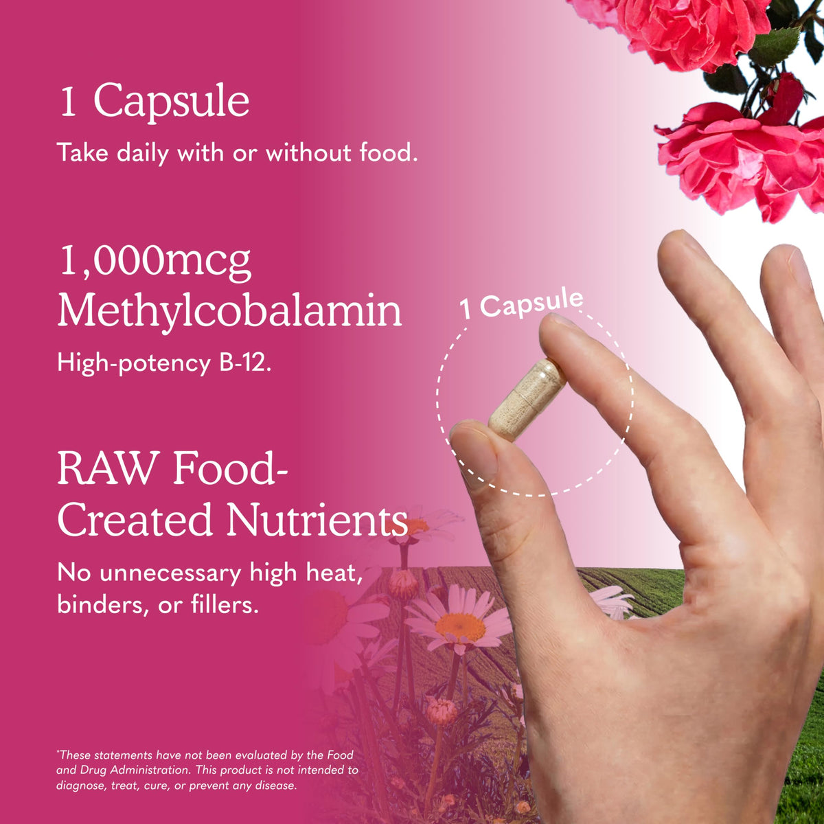 Vegan B-12 Methylcobalamin 30 Capsules P28106