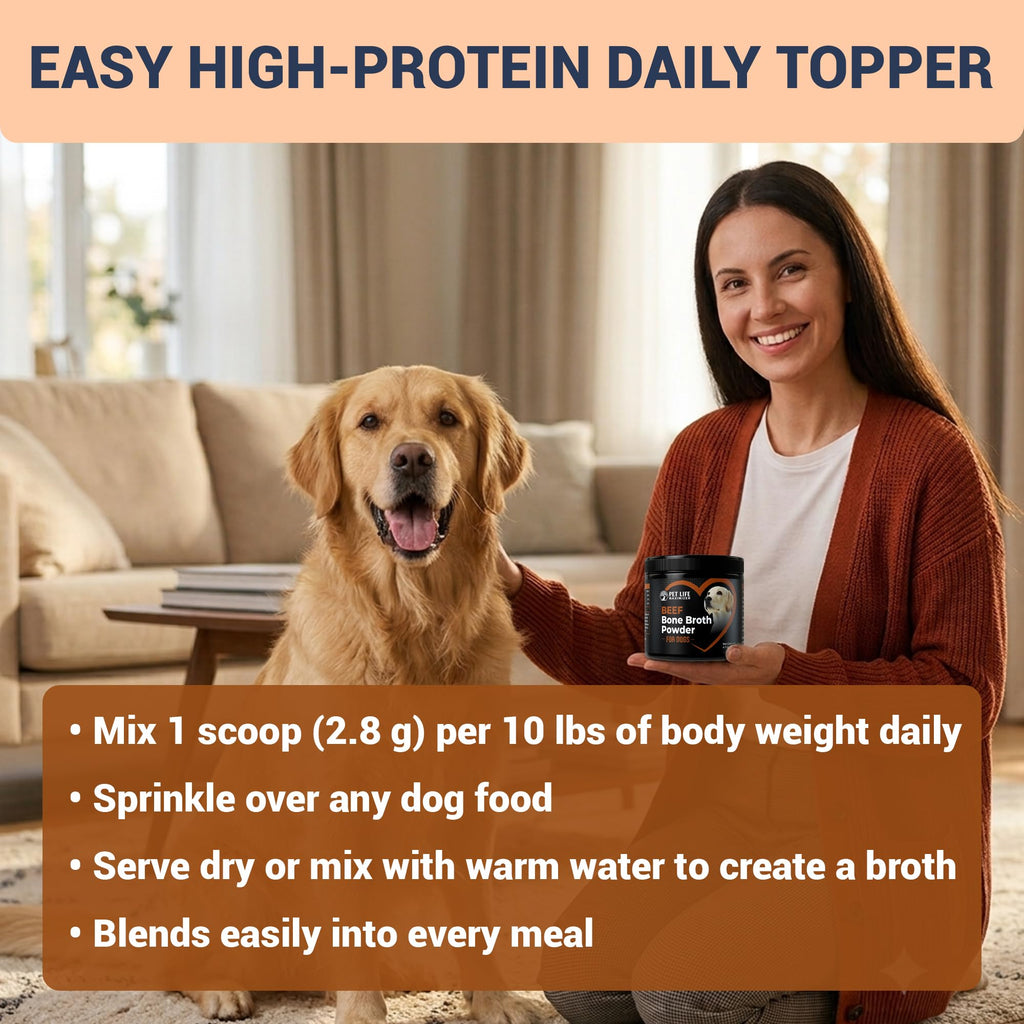 Beef Bone Broth for Dogs Y5833