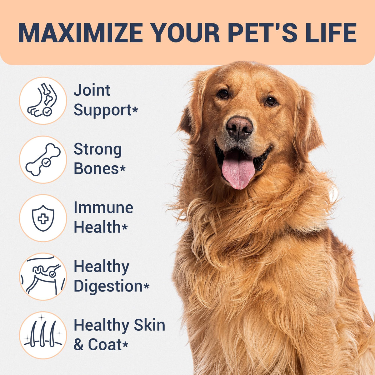Beef Bone Broth for Dogs Y5833