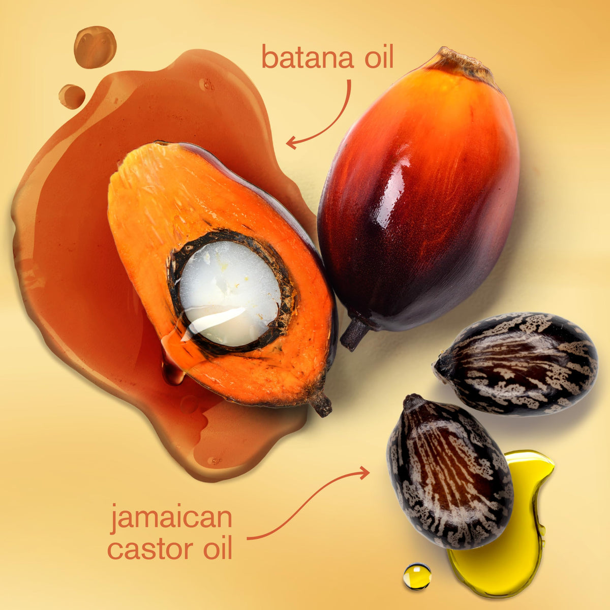 Moisture Nourishing Mask with Batana Oil + Jamaican Black Castor Oil, 10 Ounce (Pack of 12) S85085