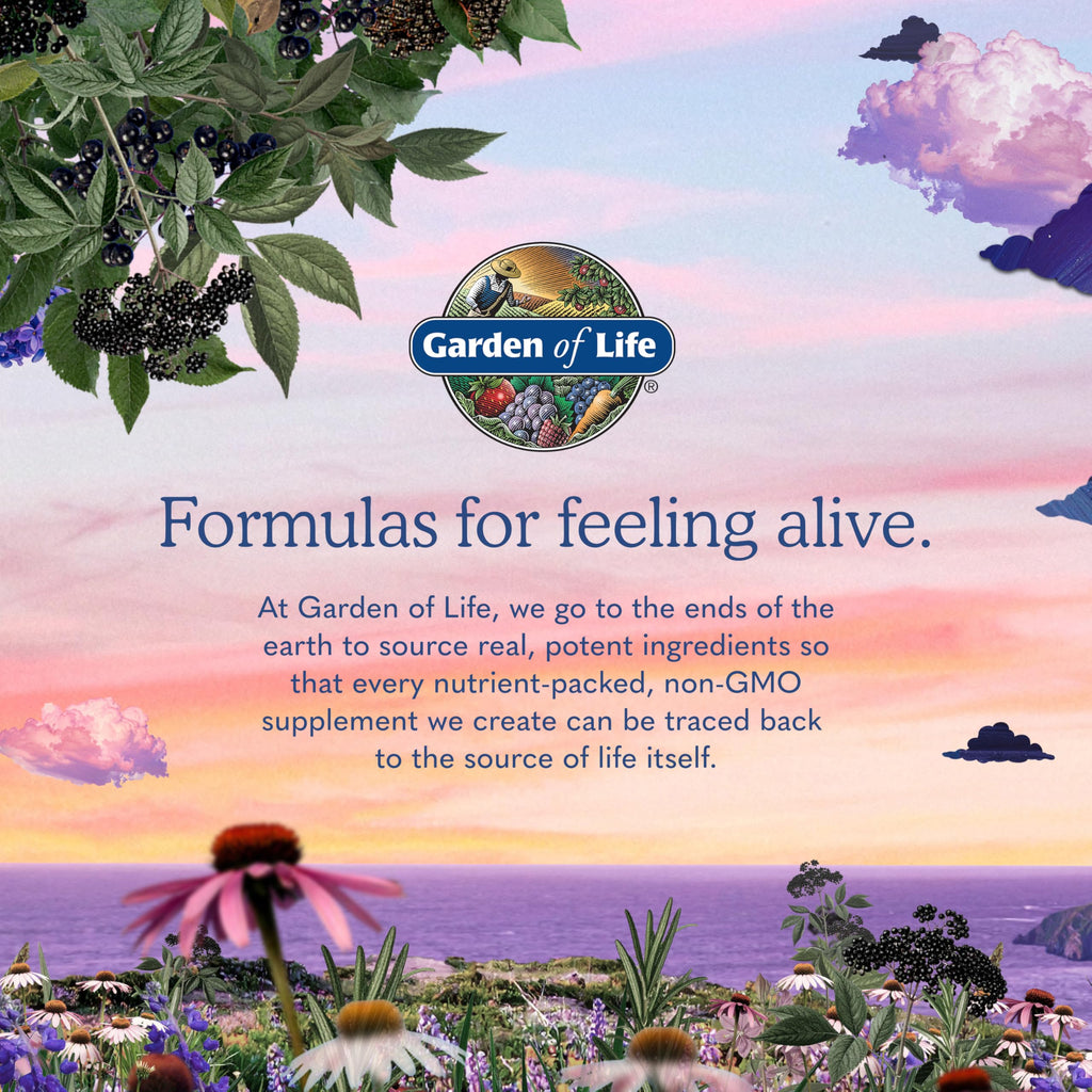 Vegan B-12 Methylcobalamin 30 Capsules P28106