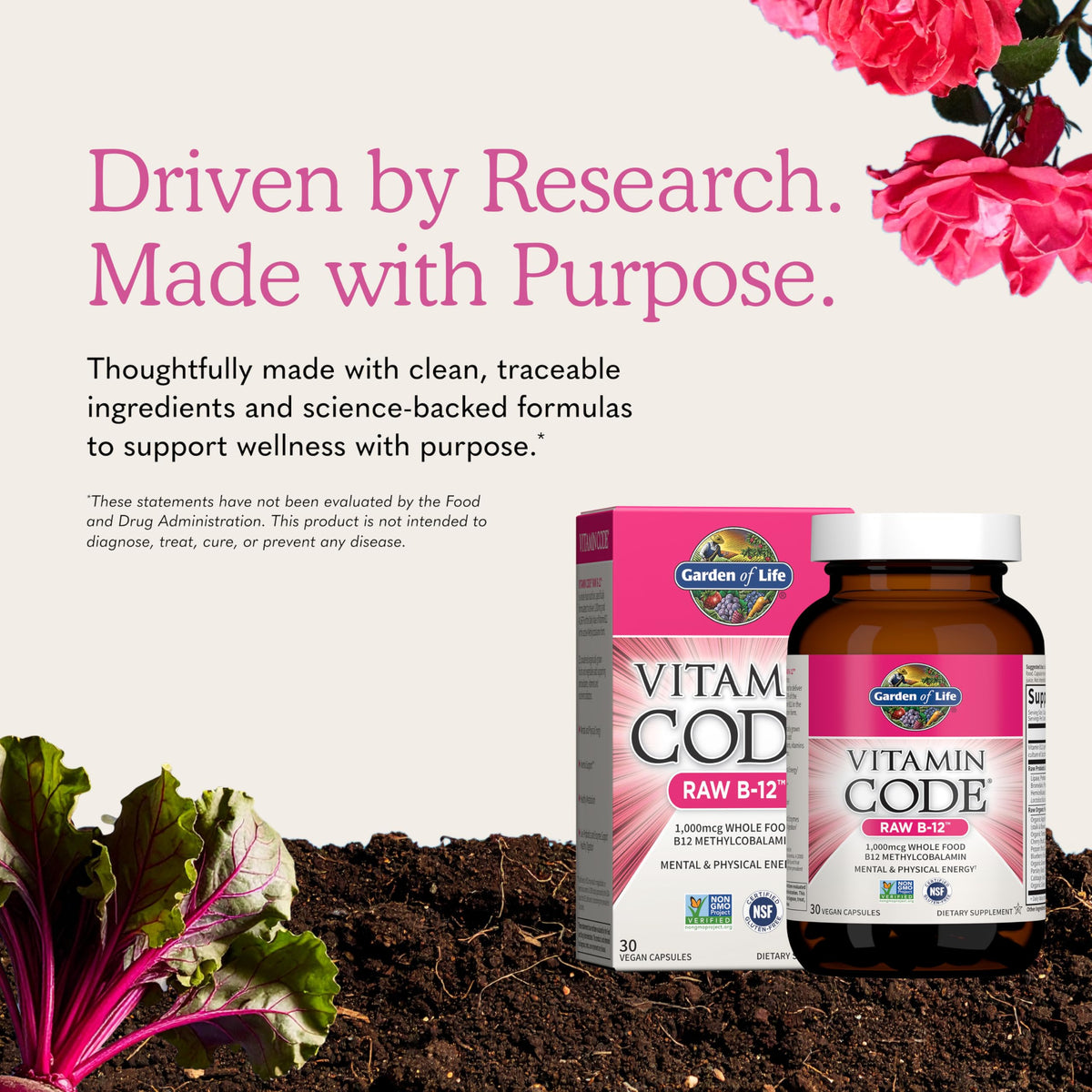 Vegan B-12 Methylcobalamin 30 Capsules P28106